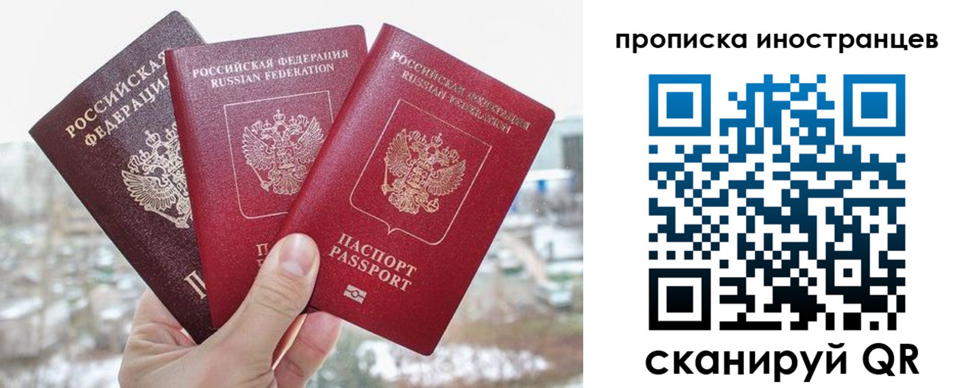 временная регистрация поиск в Мариинском Посаде